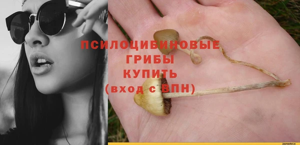 мдпв Кукмор