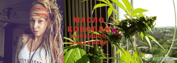 шишки Коряжма