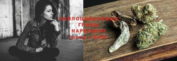 PSILOCYBIN Корсаков