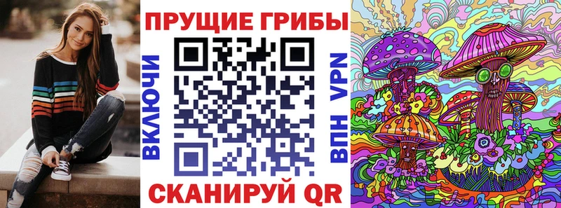 Псилоцибиновые грибы MAGIC MUSHROOMS  купить   Кузнецк 