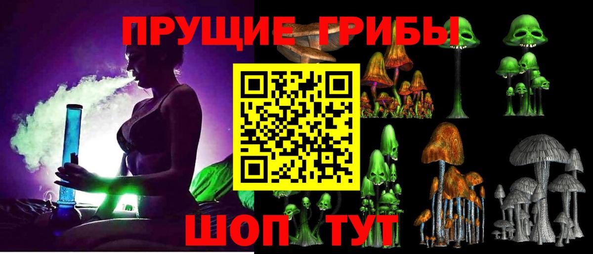 Галлюциногенные грибы прущие грибы  Вход с VPN  Кузнецк 